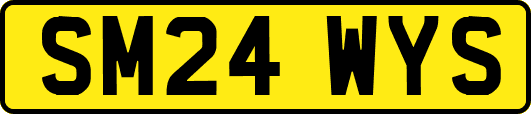 SM24WYS