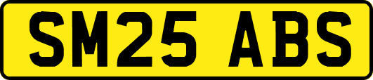 SM25ABS