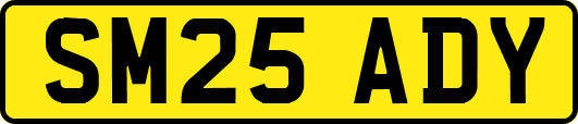SM25ADY