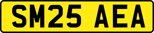 SM25AEA