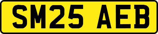 SM25AEB