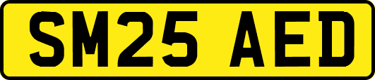 SM25AED
