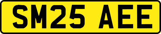 SM25AEE