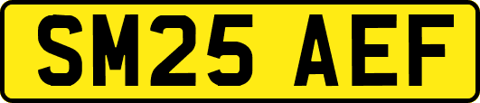SM25AEF