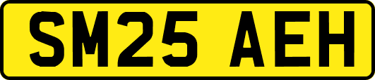 SM25AEH