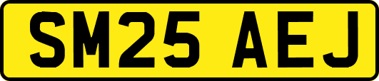SM25AEJ