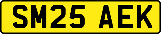 SM25AEK