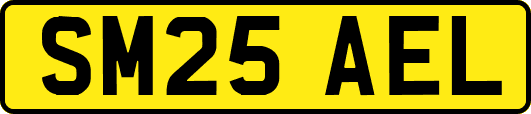 SM25AEL