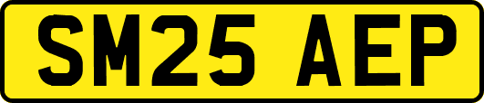 SM25AEP