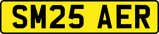 SM25AER