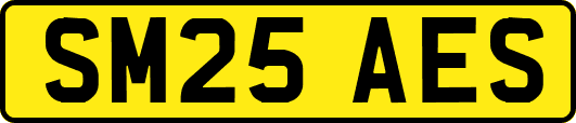 SM25AES