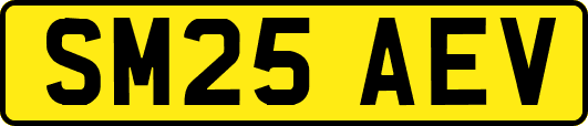 SM25AEV
