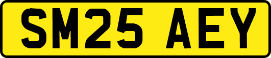 SM25AEY