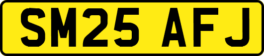 SM25AFJ