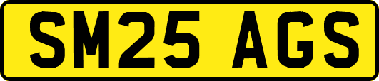 SM25AGS