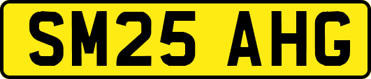 SM25AHG