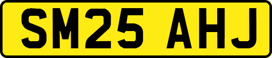 SM25AHJ