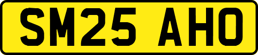 SM25AHO