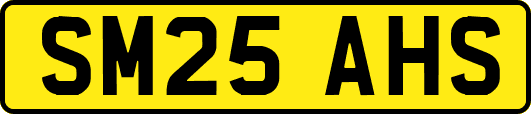SM25AHS