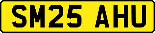 SM25AHU