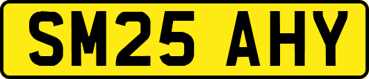 SM25AHY
