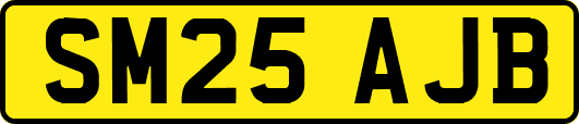 SM25AJB
