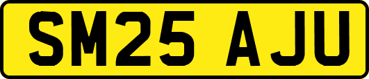 SM25AJU