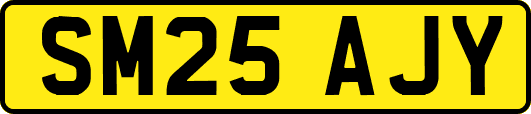 SM25AJY