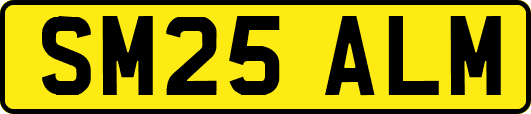 SM25ALM