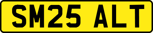 SM25ALT