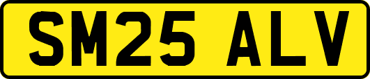 SM25ALV