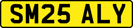 SM25ALY