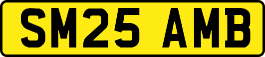 SM25AMB