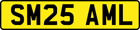 SM25AML