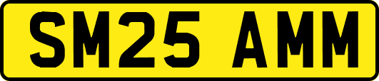 SM25AMM