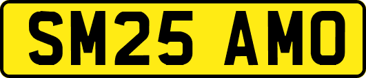SM25AMO