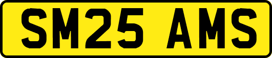 SM25AMS