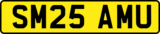 SM25AMU