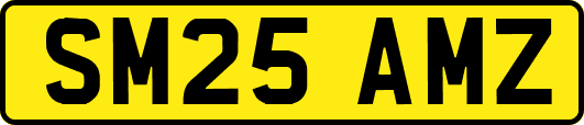 SM25AMZ