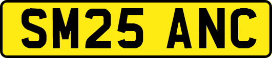 SM25ANC