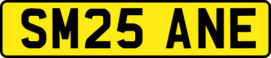 SM25ANE