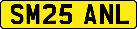 SM25ANL