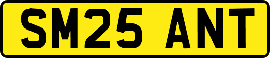 SM25ANT