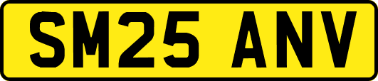 SM25ANV