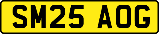 SM25AOG