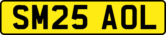 SM25AOL