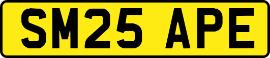 SM25APE
