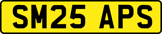 SM25APS