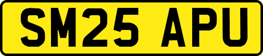 SM25APU