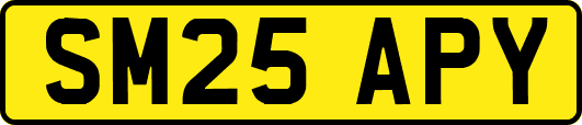 SM25APY